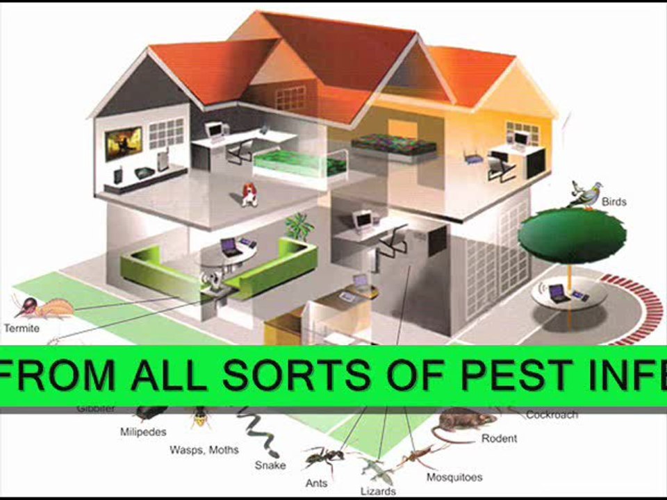 PEST CONTROL ISSUE?