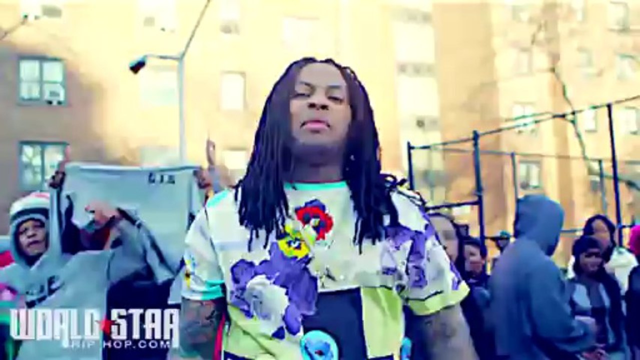 Waka Flocka 'Can't Do Gold'