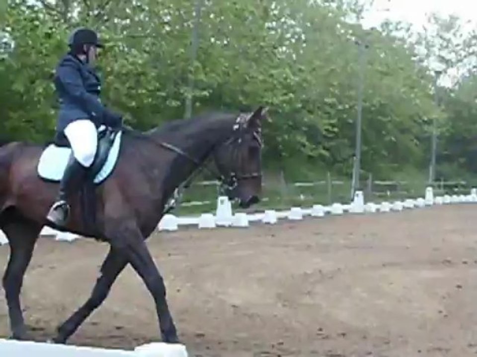 Concours dressage club2