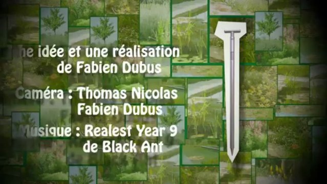 Fertiliser simplement et sans efforts vos plantes sur paillage.
