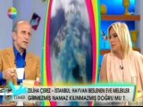 Saba Tümer ile Bugün, Konuk Yaşar Nuri Öztürk - 15.03.2013   2