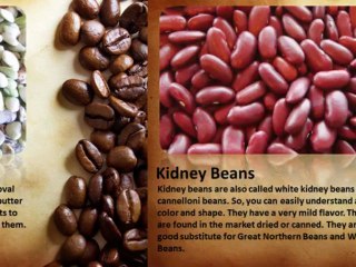 Popular Types of Beans 🌱