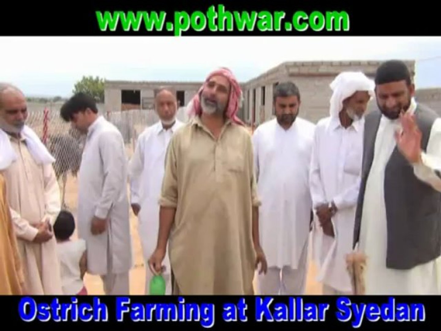 Ostrich Farm in Kallar Syedan