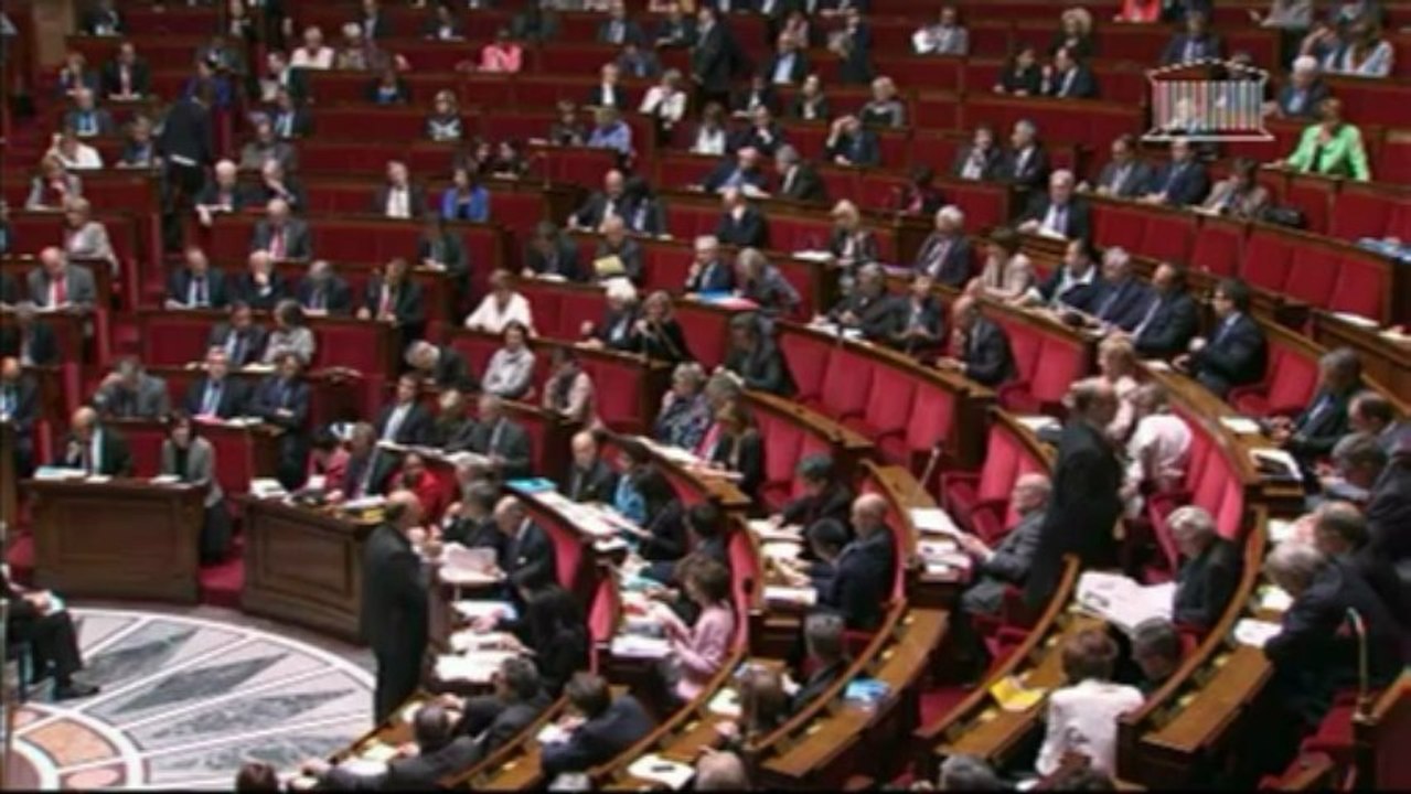 Question au gouvernement - Europe - 29/05/2013