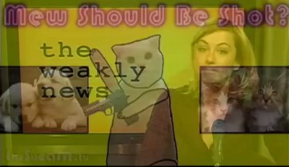 The Weakly News - #220 Special ED-ition