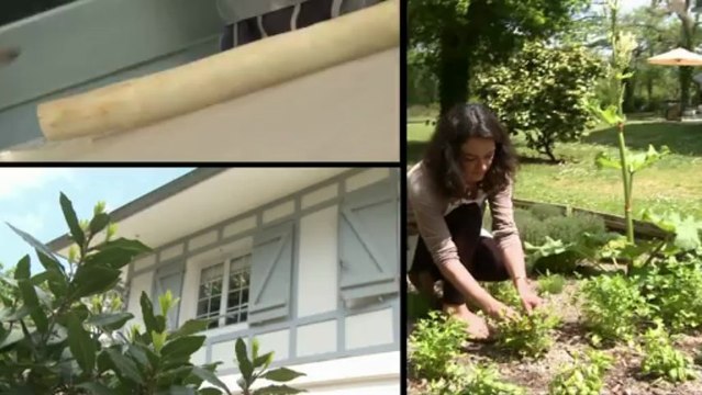 Recette de chef : Asperges blanches des sables des Landes au Lard par Qualité Landes