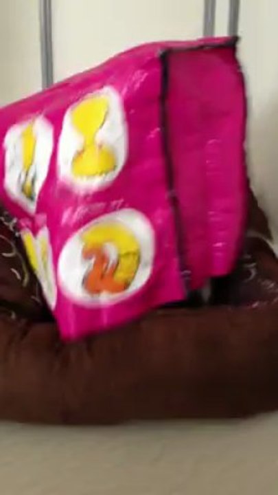 Ivory et le sachet de courses... Une grande histoire d'amour.