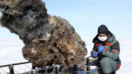 Discovered Mammoth Remains Could Bring Species Back To Life?