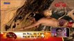 Jai Jai Jai Bajarangbali 30th May 2013 Video Watch Online pt1