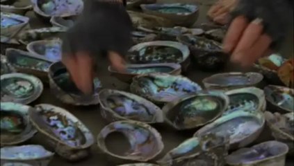 Sand man - the sand art of peter