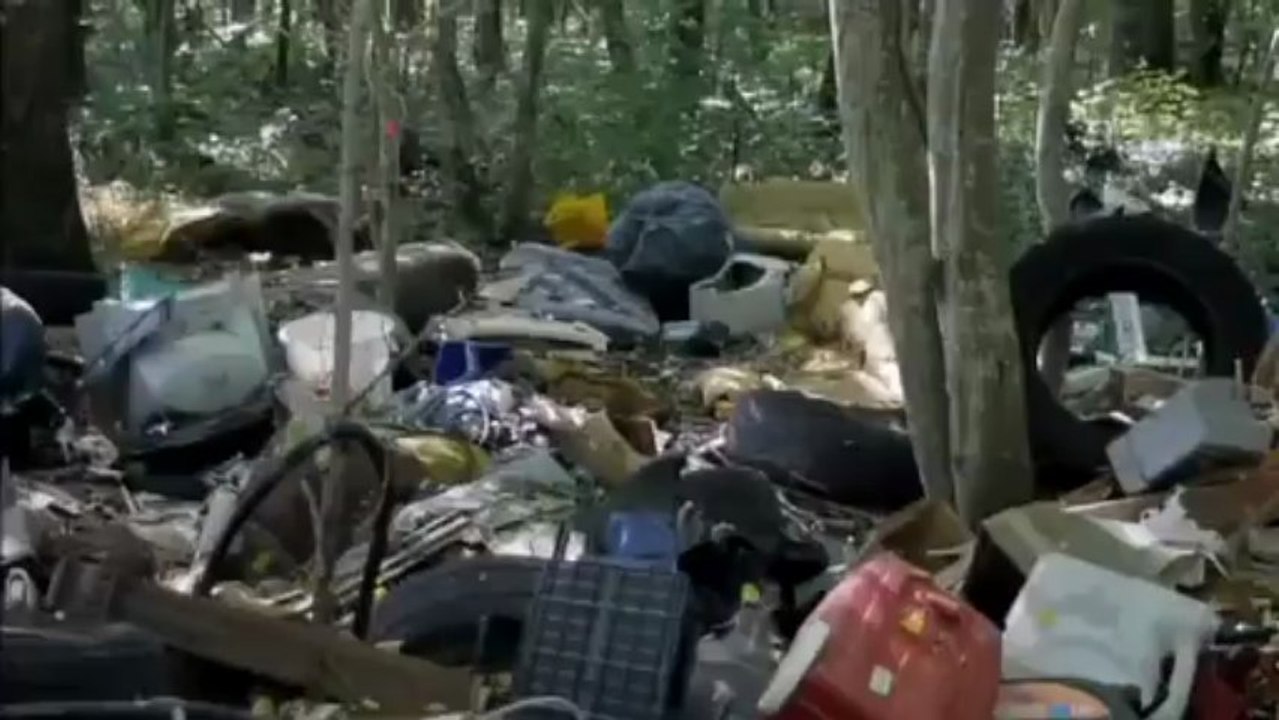 Retour à la source : bande-annonce