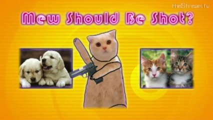 The Weakly News - Legs, Birthday, Massages, and a New Corner (Part 2 of 3)