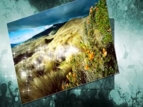 Duet Milosevic Aleksic i NO Zarka Milanovica - Dodji dragi dovece na prelo