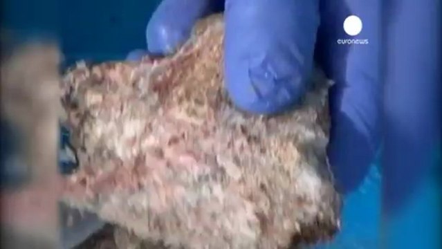 Sangue di mammut dai ghiacci della Siberia