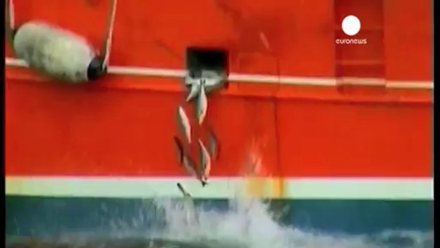 Bientôt la fin des rejets massifs de poissons en mer
