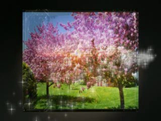 Branislav Mandic i Sekstet Dusana Radetica - Uz polje ide devojka