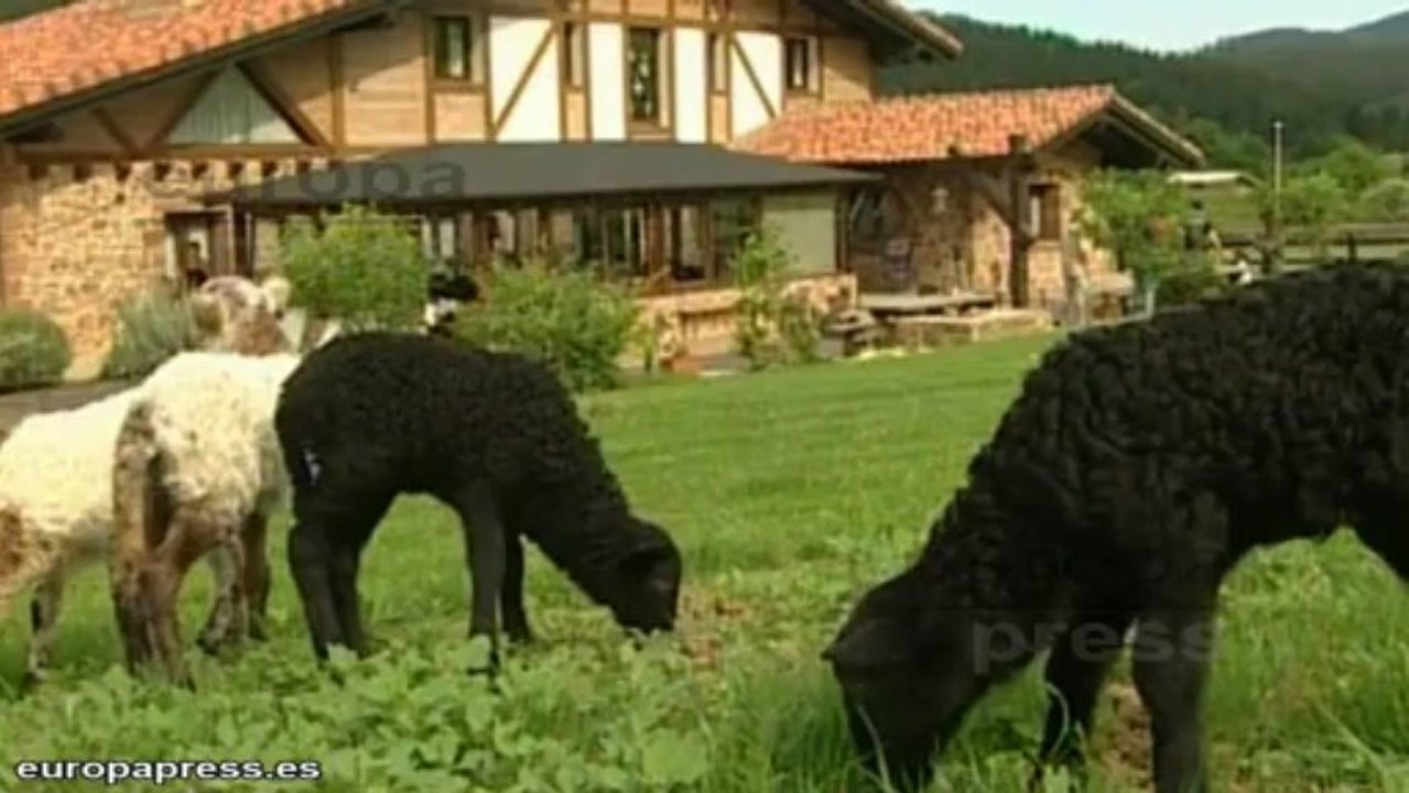 Más de la mitad de los españoles no tendrá vacaciones