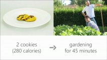 food calories in = fitness calories out