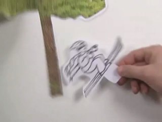 How Does Insurance Work?