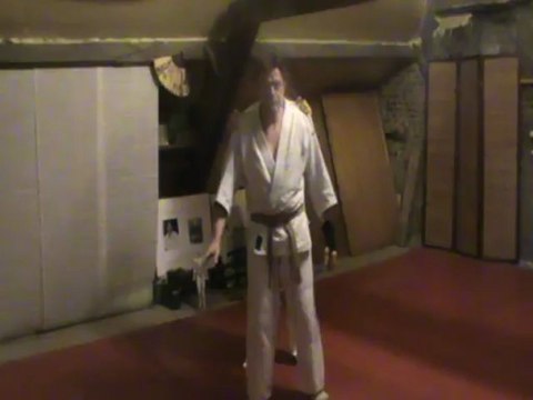 Ushiro ryokata dori kihon