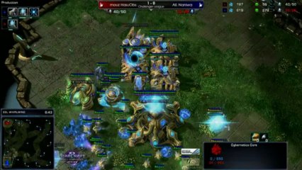 NaNiwa vs HasuObs - Game 2 - WCS Starcraft 2
