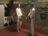 Morote dori henka gedan : shiho nage