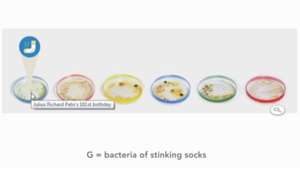 Julius Richard Petri Google doodle