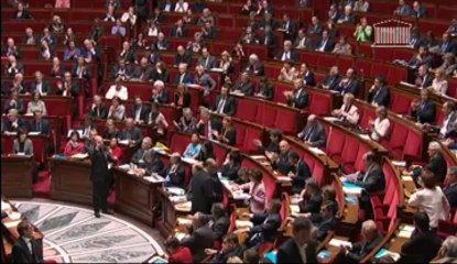 Question au Gouvernement - Olivier CARRE - Mercredi 29 mai 2013