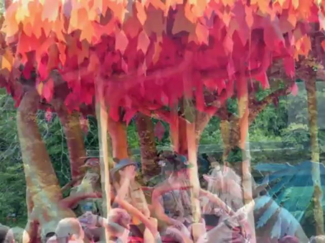 Walt Disney World 2010