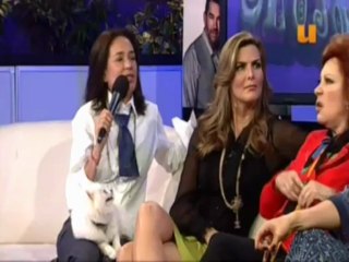 Elenco @LibreParaAmarte en MoJoe Bloque 2 @LuzElenaGlez