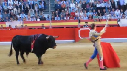 TRIUNFO DE PONCE Y MANZANARES