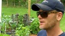 Achieving Sustainability: Permaculture- Organic Farming