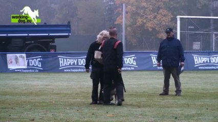 Erec von der schoenen Ecke - DMC Campionat 2012 - C 97