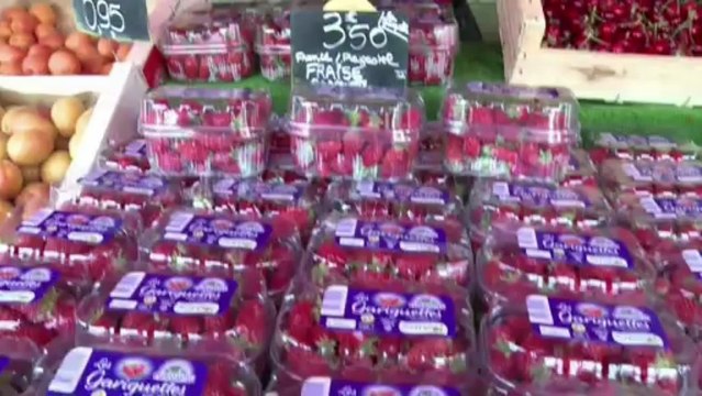 Météo : sale temps pour les légumes