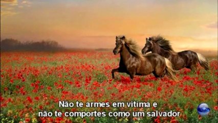 Reflexão - Galopando a Vida