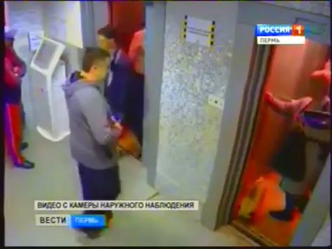 Chien en laisse vs Ascenseur