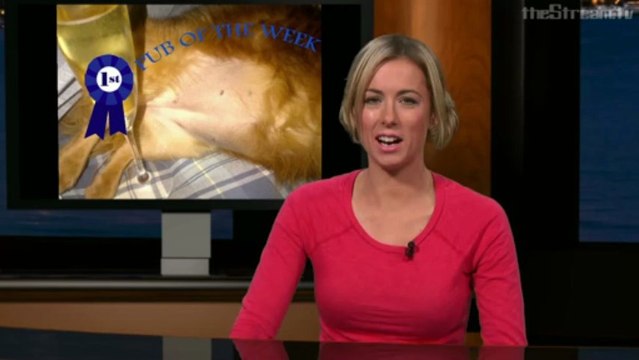 The Weakly News - The Weakly News #408 Shipwreck (Part 3 of 3)