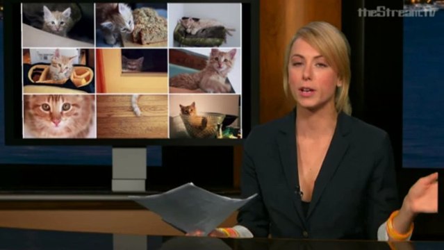 The Weakly News - The Weakly News #402 Gaddafi (Part 2 of 3)