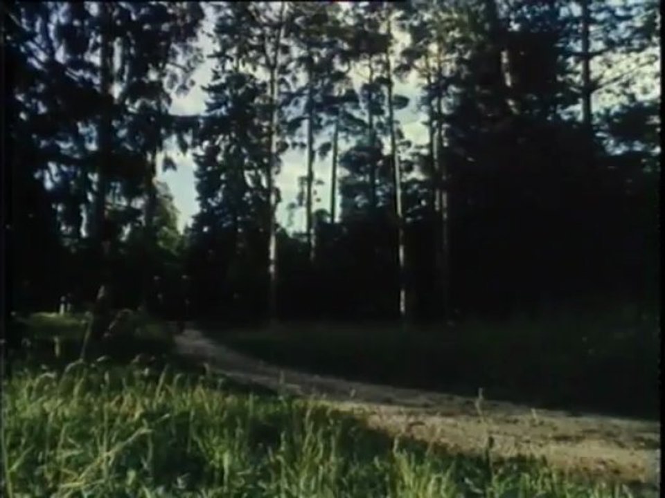 Ангел-хранитель