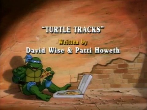 Turtle Tracks commentary