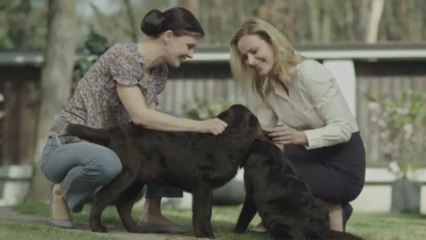 Reklama Provident 2013 - Pro všechny. Pro Vás.