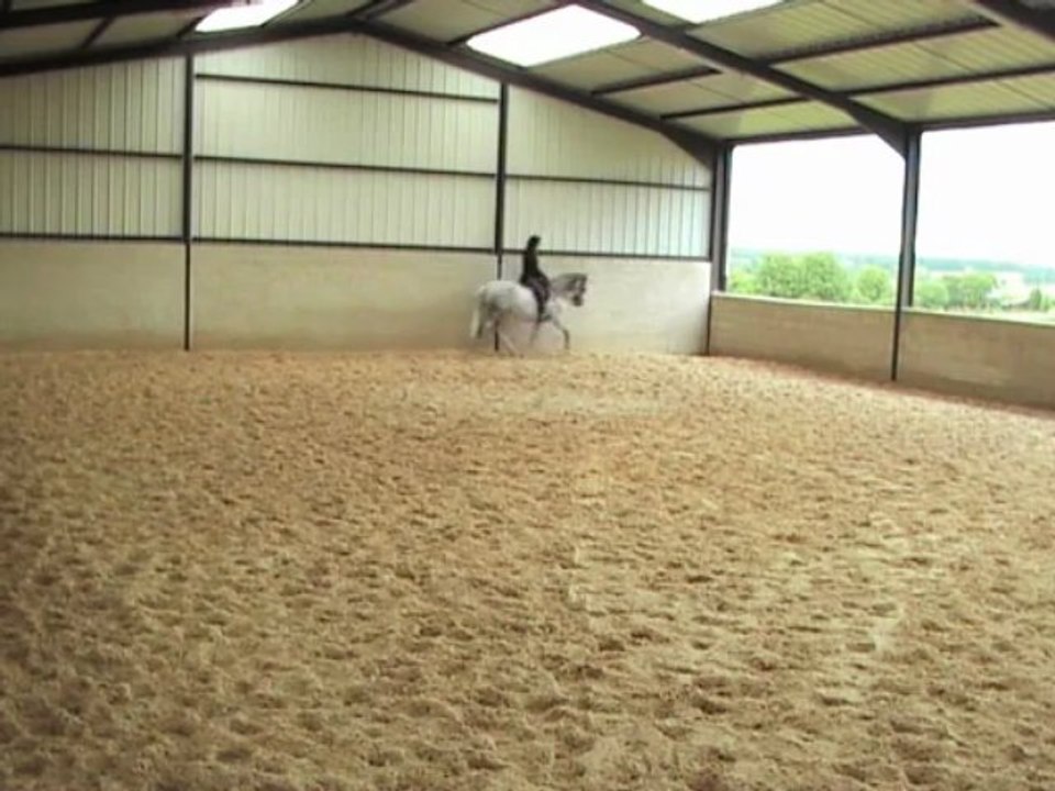 30.05.13 trot et piaffer