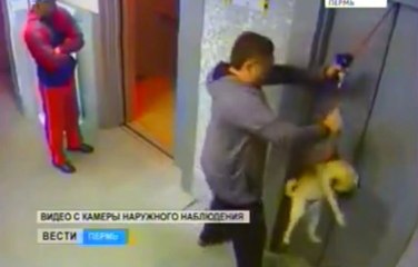 Il sauve de la mort un chien piégé par un ascenseur !