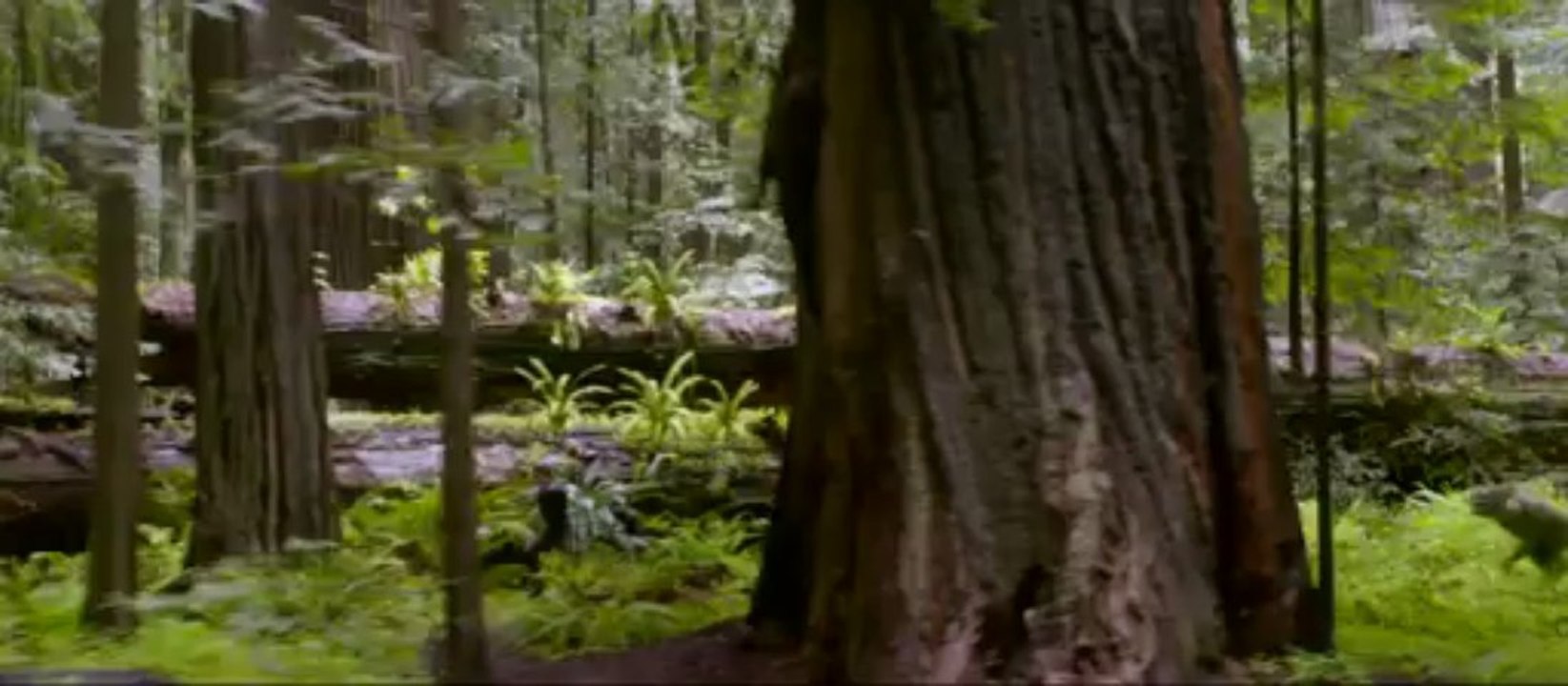 Trailer de la película "Después de la Tierra" (After Earth)