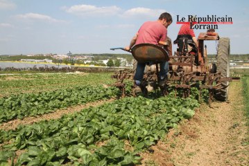 Consommation des ménages en baisse : le bonheur est-il dans le pré des agriculteurs ?