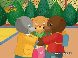 Kahverengi Ayicik Asik