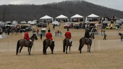 Point-to-Point Thornton Hill Hounds 2013