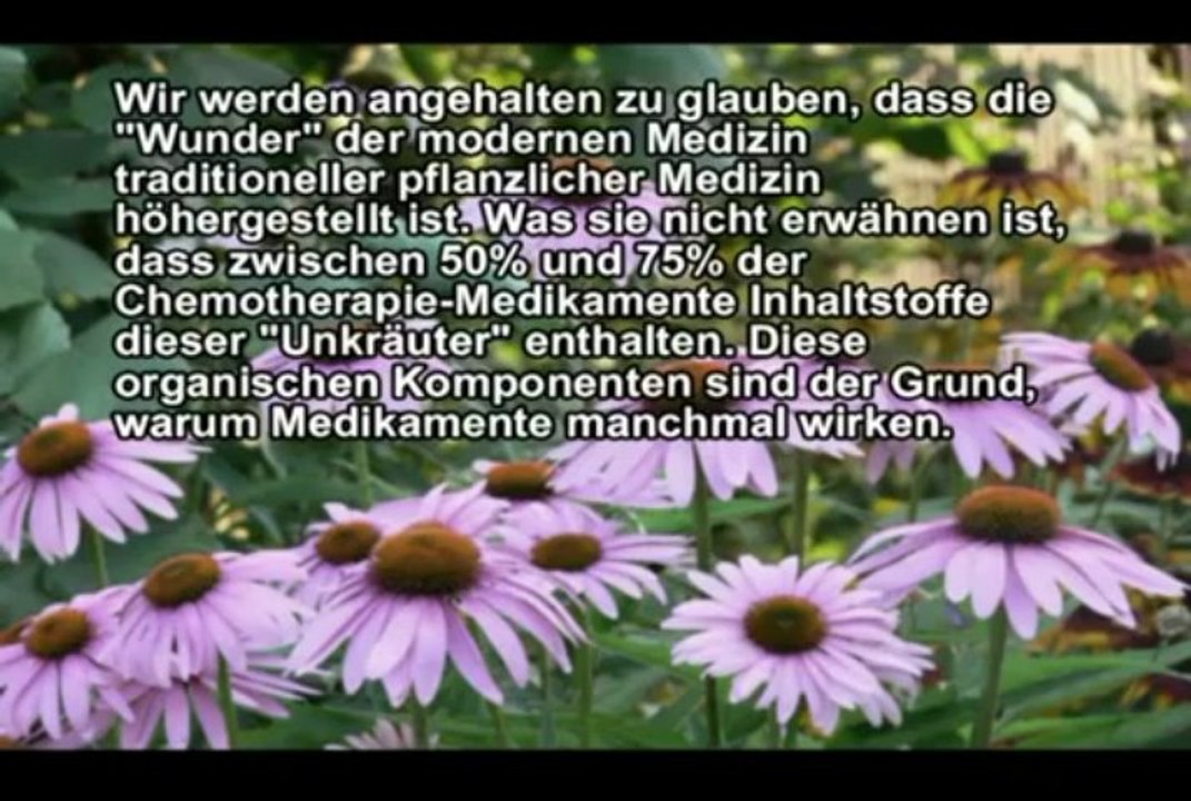 Die Krebsindustrie und der Weg zu gesundheitlicher Freiheit (Doku) Pt. 3-6