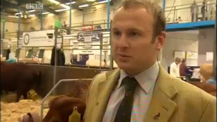 BBC Spotlight - 29/5/13