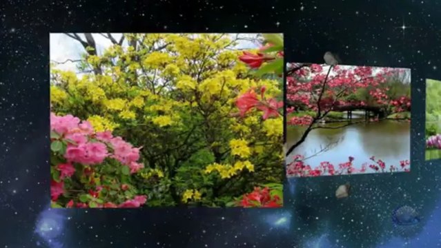 Harbour lights - Ray Conniff